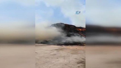 Amasya'da Besi Çiftliğinde Yangın