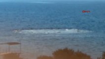 Çanakkale Ayvacık Sahilinde Ürküten Görüntü