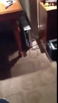 2 femmes terrifiées par un cafard... MORT LOL