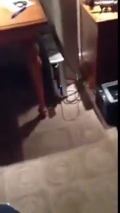 2 femmes terrifiées par un cafard... MORT LOL