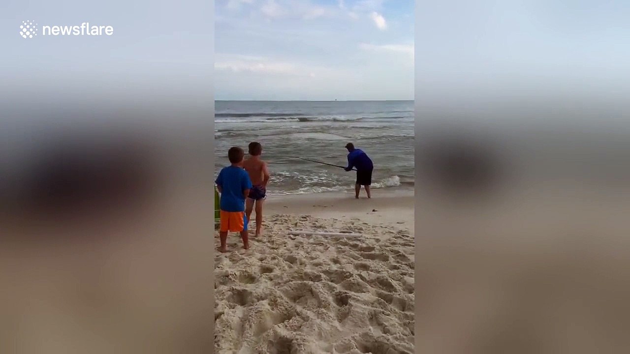 Beachgoers ecstatic over shark caught by fisherman