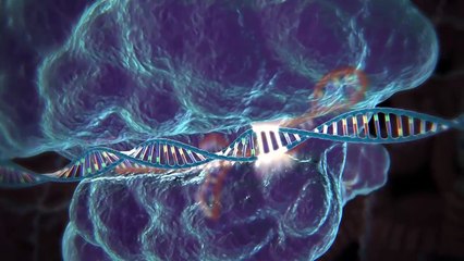 Bilim insanları bu ölümcül beyin hastalığına çare bulmuş olabilir