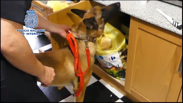 Policía Nacional interviene más de 16 kg de speed que iban a ser distribuidos en La Rioja y Navarra