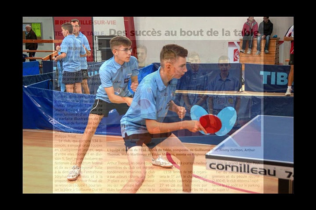 ESBelleville Tennis de Table : saison 2016-2017