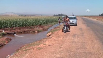 Sulama Suyuyla Serinlemeye Çalışıyorlar