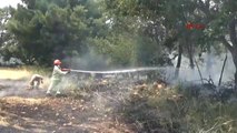 Çanakkale Tarım Arazisindeki Yangın Ormanı da Yaktı