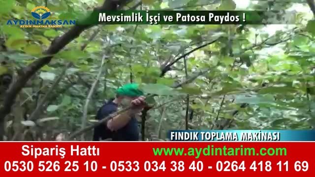 fındık toplama makinaları