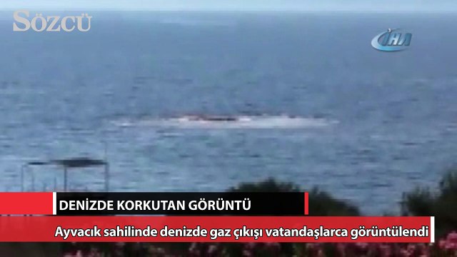 Denizde korkutan görüntü