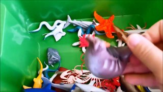 Shark Toys Kids Toy Box Sea Animals Toy Wdfgrhales sea turtles caretta caretta tu