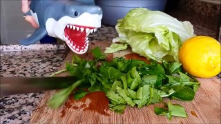 shark toy playing makingdfgr salad