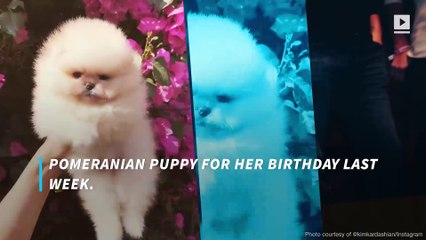 North West's puppy finally got a name