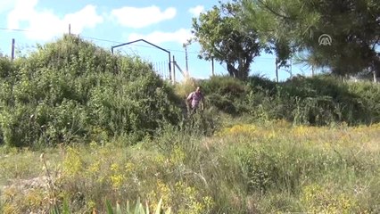 Safranbolu'da Rastgele Ateş Açılması Sonucu Ölen Çocuk - Baba Yusuf Avcı