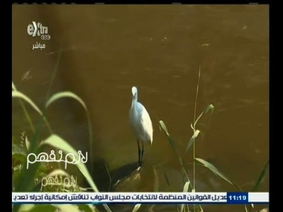#لازم_نفهم | "لازم نفهم" يفتح ملف الصرف القاتل في مياه النيل