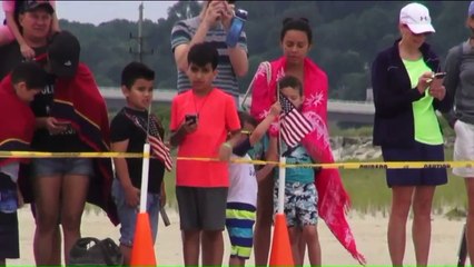 'Phil' the Harbor Seal Released Back Into the Wild