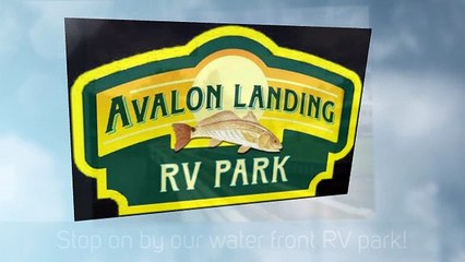 Campgrounds Near Pensacola | (850) 995-5898