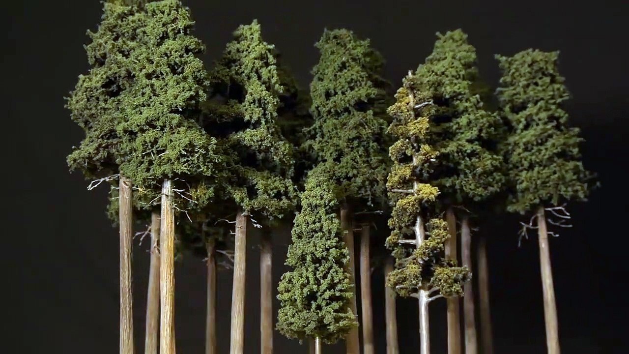 Tall Forest Pine Trees – Model Railroad Scenery-Hz