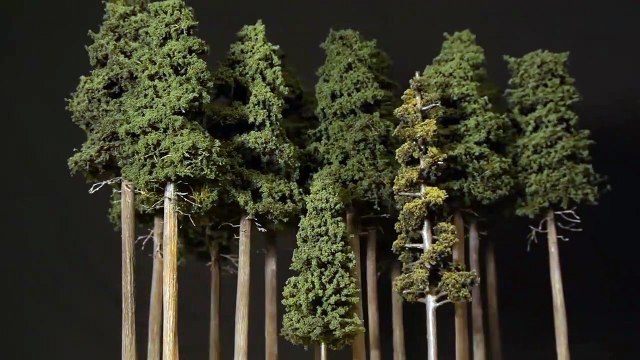 Tall Forest Pine Trees – Model Railroad Scenery-Hztif1