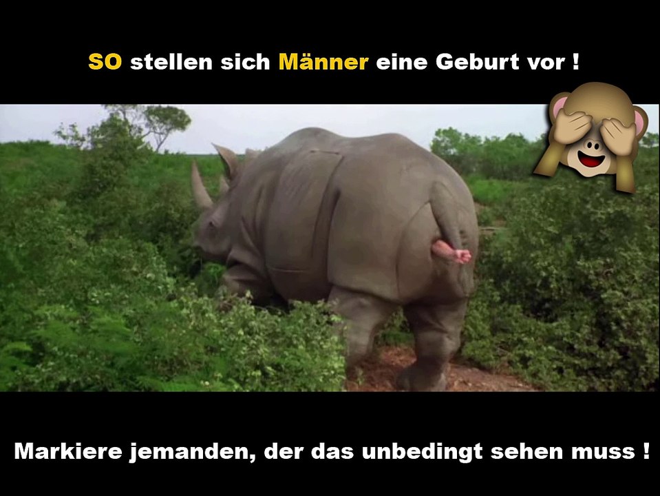 Ace Ventura - Nashorn Geburt