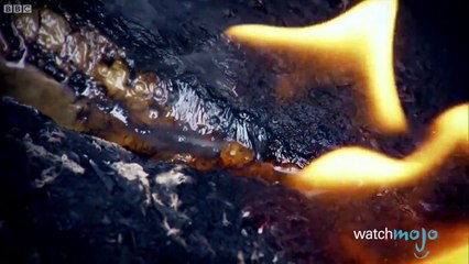 Top 5 Spontaneous Combustion Facts Too