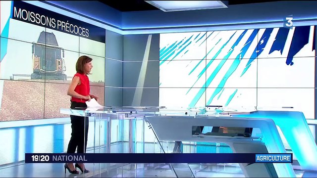 Agriculture : des moissons précoces