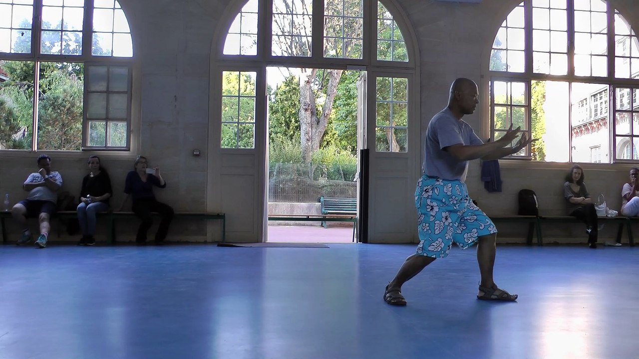 TAI CHI - FORME 13