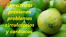¡Destacado! María Eugenia Baptista Zacarias: Beneficios de consumir cítricos