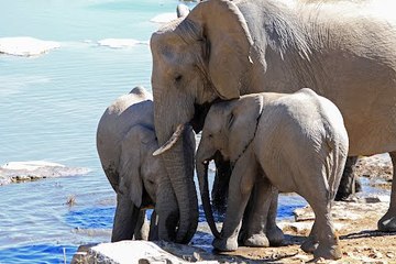 masaj salonu masoz kadıköy istanbul anadolu masaj salonlari