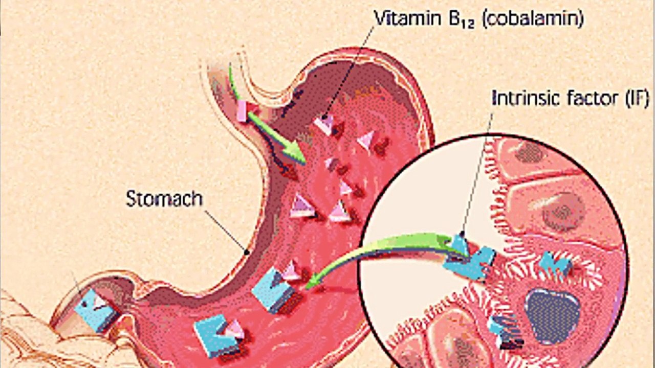 VOLKSKRANKHEIT Vitamin B12 Mangel? Wie erkenne ich einen Mangel? Symptome, Dosierung, Nebe