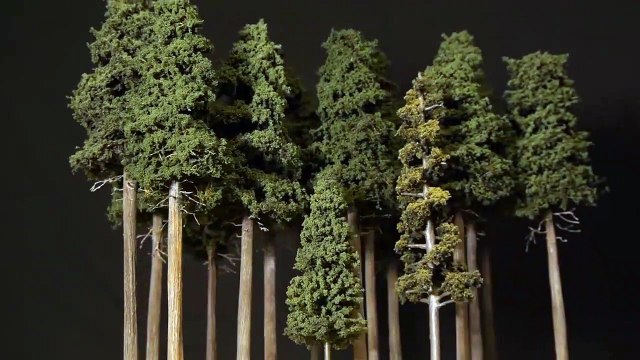Tall Forest Pine Trees – Model Railroad Scenery-Hzt