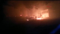 Muğla Datça'da Orman Yangını