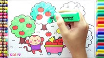 Learning How to Drawing Monkeys Picking Fruit Colorful for Children - Coloring Pages Videos For Kids