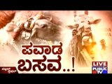 Public TV | Public Special:  ಪವಾಡ ಬಸವ..! | May 19th, 2016