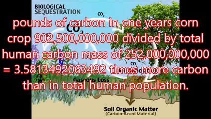 How many gallons of gasoline would it take to make the World GREEN!