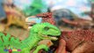 2os de Dinosaurios para niños Las Mejores Luchas de Dinosaurios de JugueteS