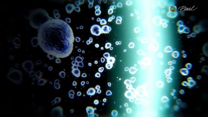 Decoding The Brain・Breakthrough