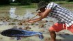 Amazing Man Uses PVC Pipe Compound BowFishing To Shoot Fish - Khmer Fishing At Siem Reap Cambodia
