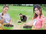 Wow! Amazing Beautiful Girl Catch & Find Snails In Cambodia