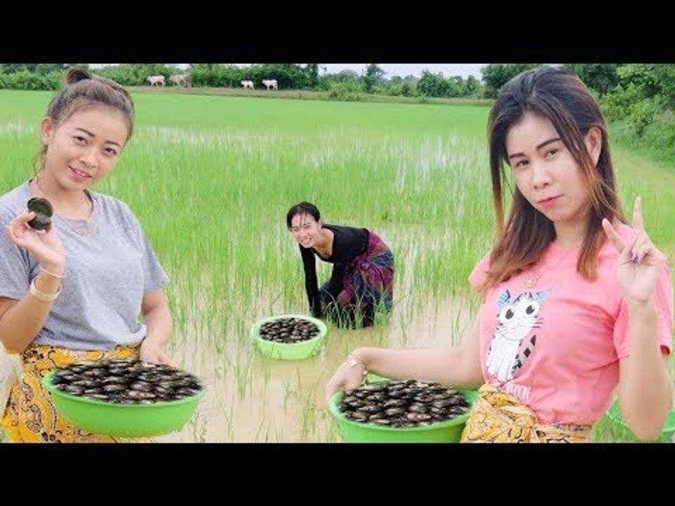 Wow! Amazing Beautiful Girl Catch & Find Snails In Cambodia