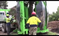 Extreme Modern Machine, Mega machine Moving vs Transplanting Big Trees