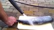 How to clean fish remove scales in seconds - pressure washer