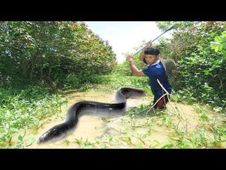 Creative Man Make Deep Hole Eel Trap With Water Pipe by Cam Amazing