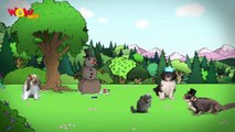 Jack And Jill Frost _ Ali Bunny - Fuzzy Tales - Bedtime Stories _ Animated Series For Kids-r