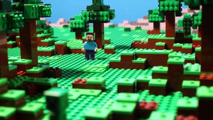 LEGO? Minecraft - Mine Confusion Stop Motion