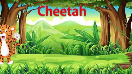 Hướng dẫn bé tập nói tiếng anh qua con vật