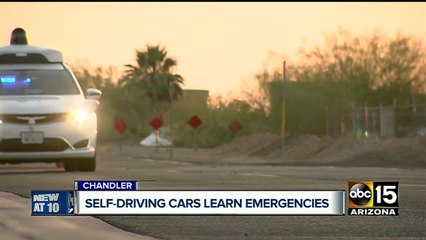 How safe are driver-less cars in emergency situations?