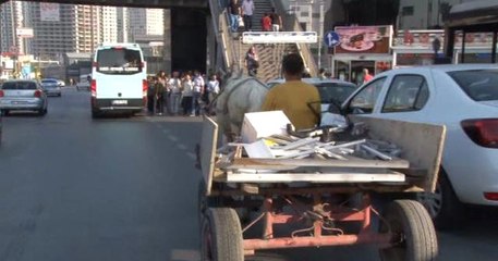 At Arabalı Vatandaş Ekmek Parası İçin Canını Hiçe Saydı