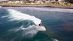 Des dauphins prennent la vague au milieu des surfeurs en Afrique du sud