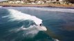 Des dauphins prennent la vague au milieu des surfeurs en Afrique du sud