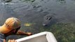 Daredevil swamp tour guide kisses alligator