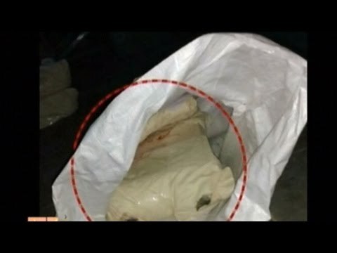 News Cafe | Top Stories | May 14th, 2016 | 8:00 AM